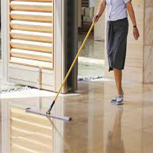 FLOOR CLENING LIQUID - 500ml